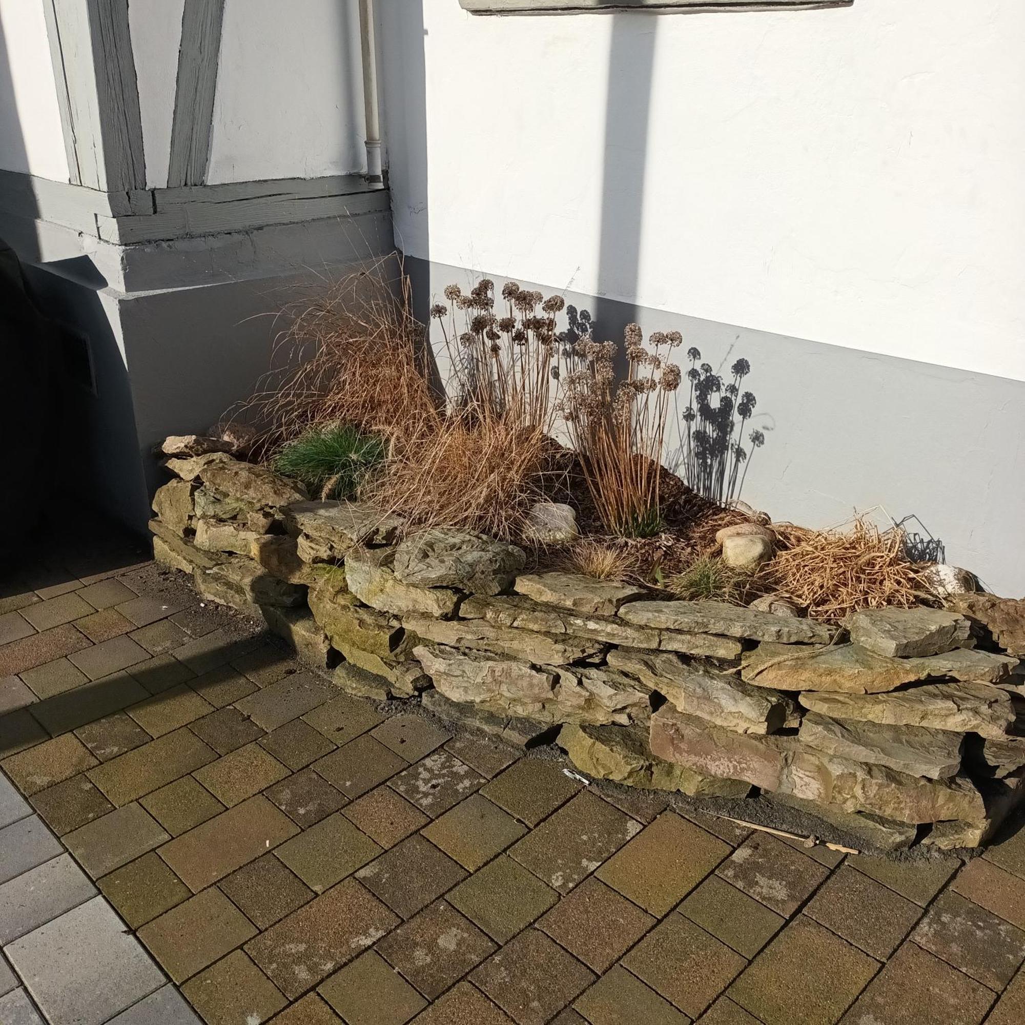 Ferienhaus Usseln 维林根 外观 照片